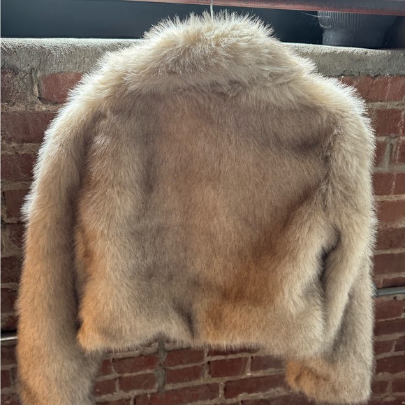 H&M Brown Faux Fur Coat (this season) - Picture 4 of 5